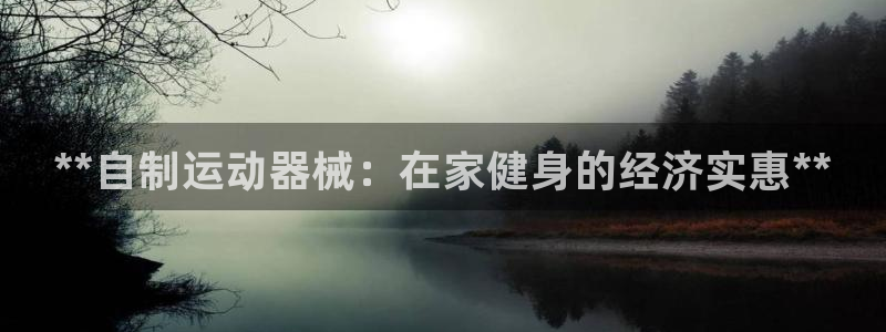 尊龙凯时ag旗舰厅官方网站：**自制运动器械：在家健
