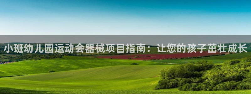 尊龙z6平台：小班幼儿园运动会器械项目指南：让您的孩