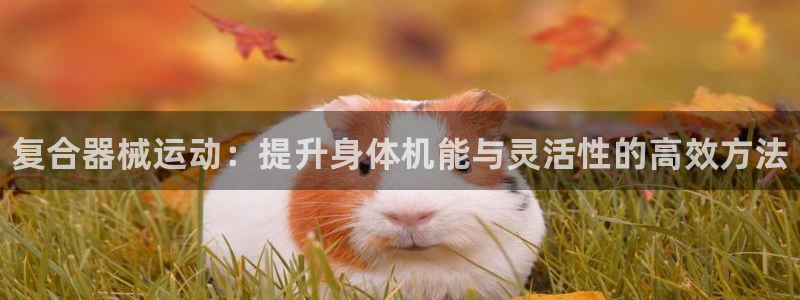 尊龙凯时新闻：复合器械运动：提升身体机能与灵活性的高效方法