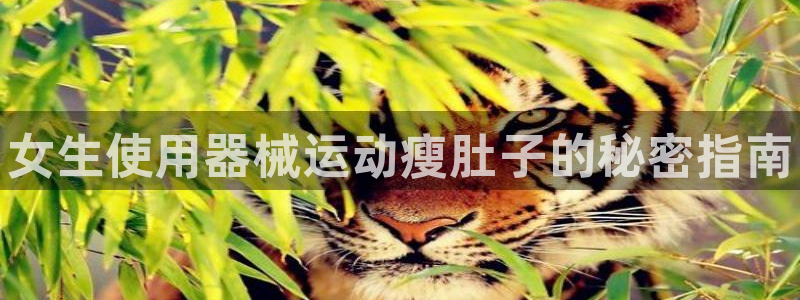 凯时kb88会员登录：女生使用器械运动瘦肚子的秘密指