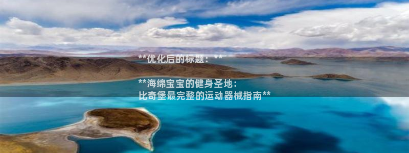 尊龙一人生就是搏：**优化后的标题：**

**海绵