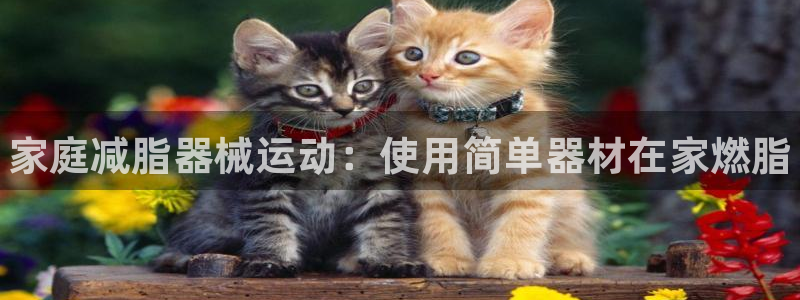 尊龙官方app下载：家庭减脂器械运动：使用简单器材在