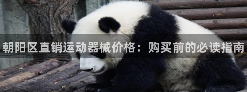 凯时平台怎么样