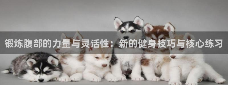 凯时国际官方版